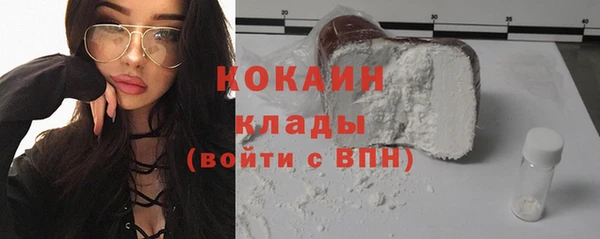 шишки Новокубанск