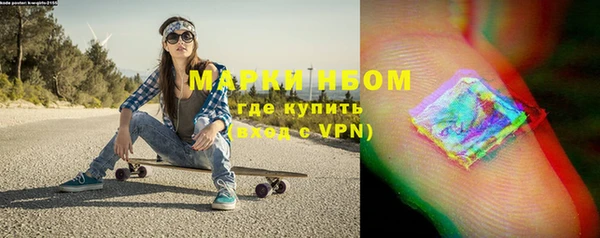 шишки Новокубанск