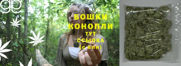 шишки Новокубанск