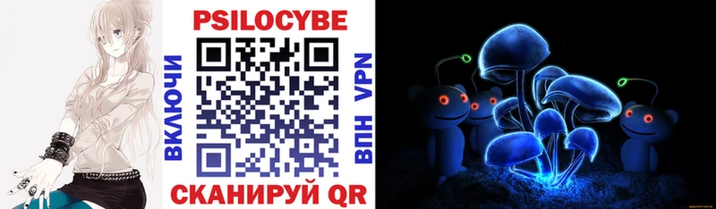 Купить  Никольское  Псилоцибиновые грибы Magic Shrooms 